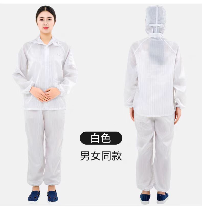 分体服