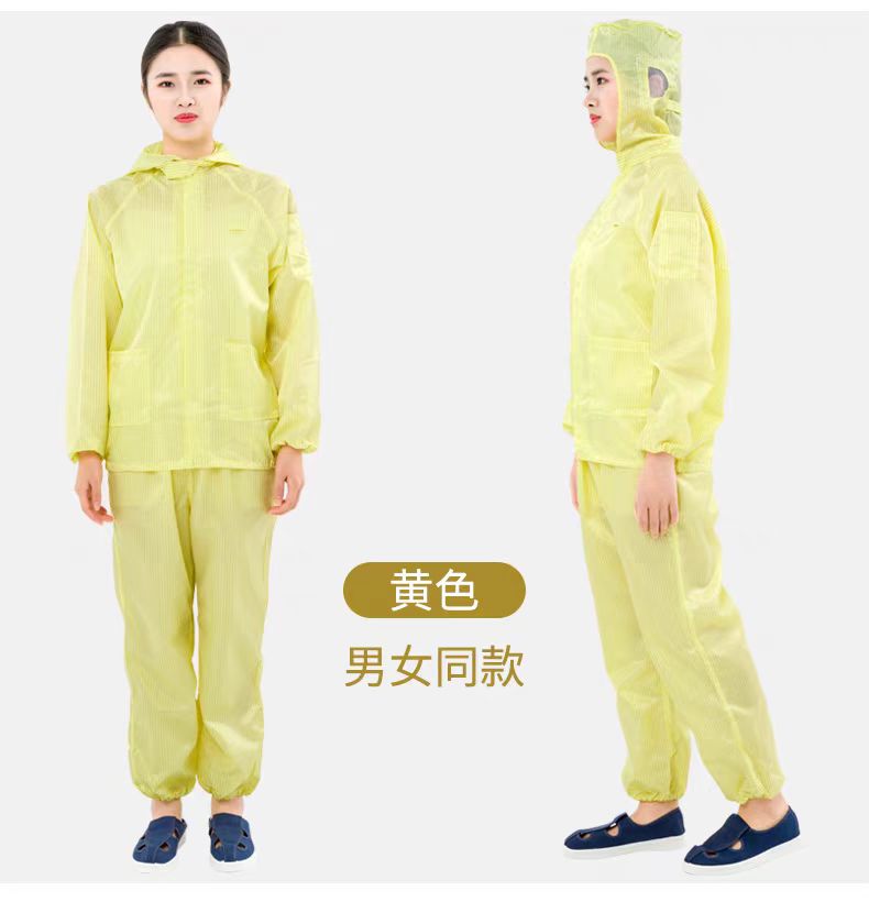 分体服